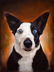 Dog Portrait