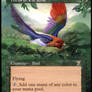 Birds of Paradise - Extension / Alter