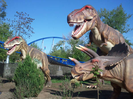 The Dino Exhibit