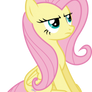 Fluttershy is not amused