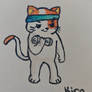 Gym cat