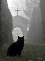 Lodz - Old Cementary