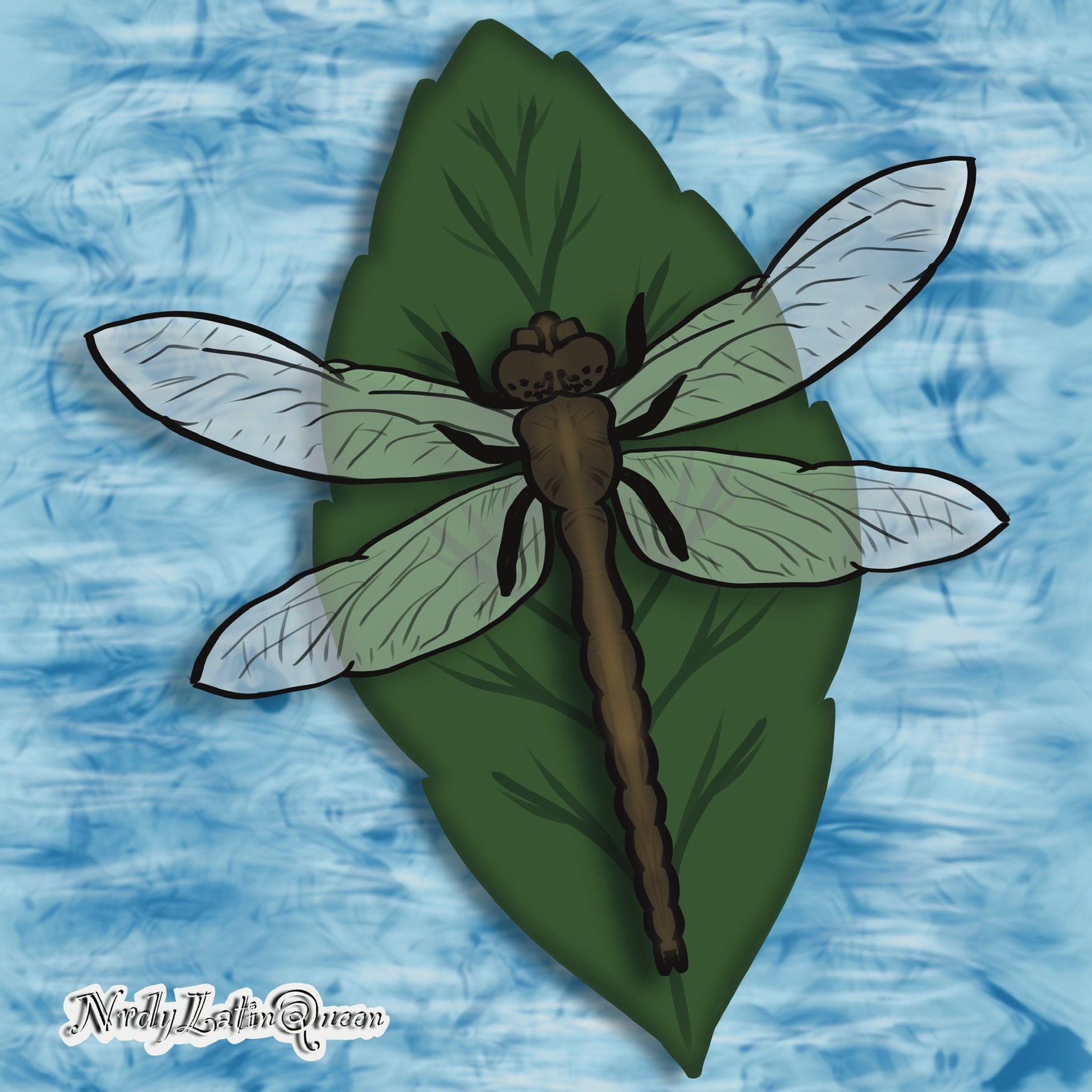 Dragonfly Deviantart Dragonfly by nrdylatinqueen on DeviantArt