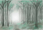 Misty Wood by MatejCadil