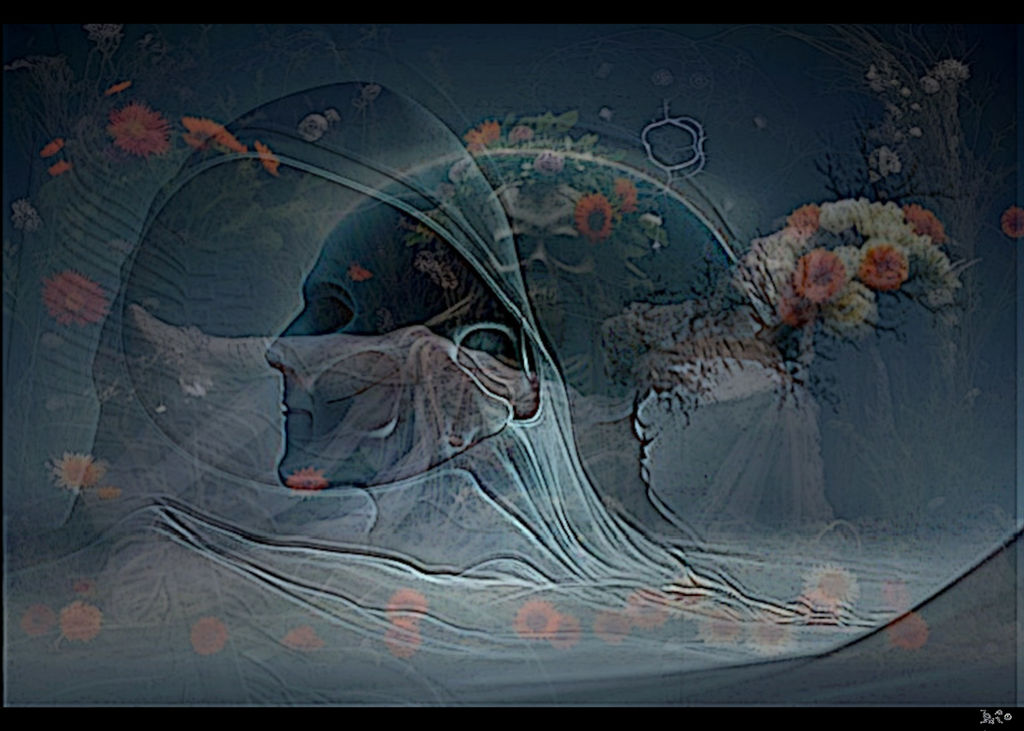 Slow Spring (2) by carapolverenologin on DeviantArt