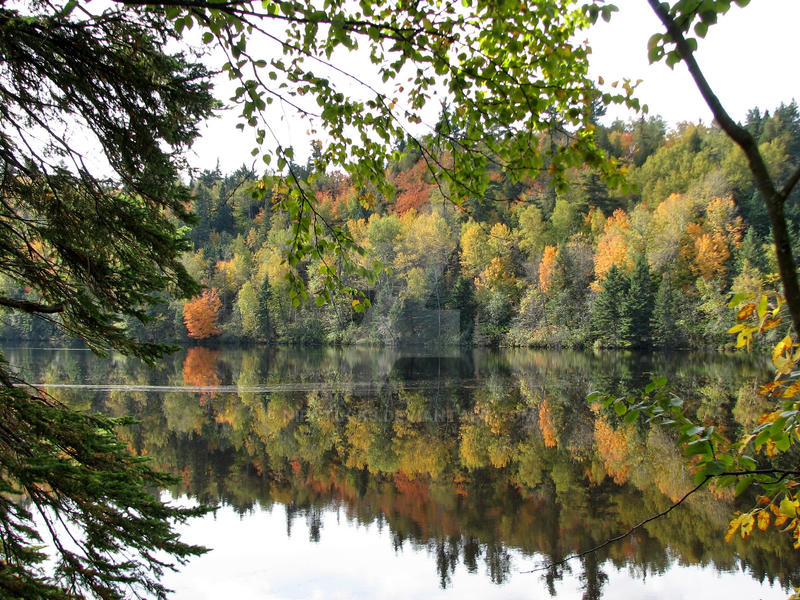 Fall Pictice fall picture's pic 3 by Nipntuck3 on DeviantArt