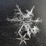 mixs snowflakes