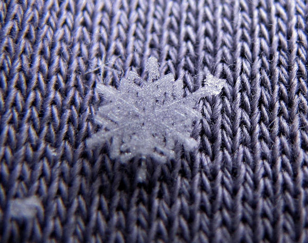 little snow flake