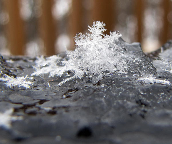 blob of Snow Flakes