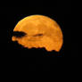 an other pic of the harvest moon