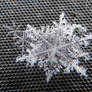 Todays SNOW FLAKE