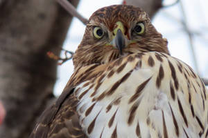 Happy Halloween everyone ..............