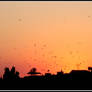 Sunset_4