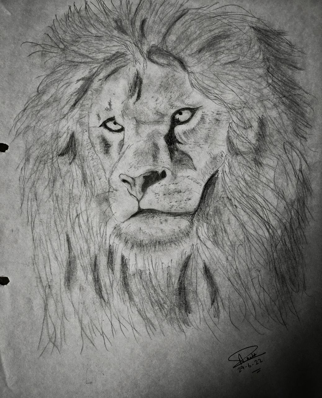 Lion