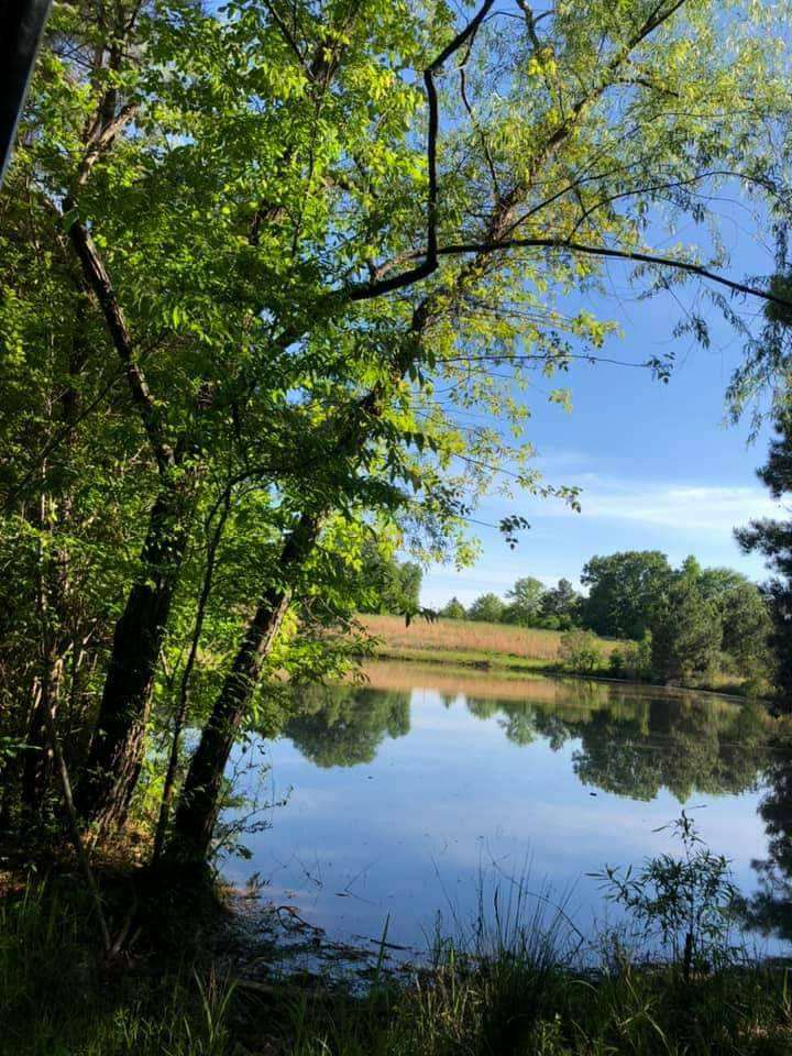 Delta Beatiful Beautiful Delta Day by chevelleguy on DeviantArt