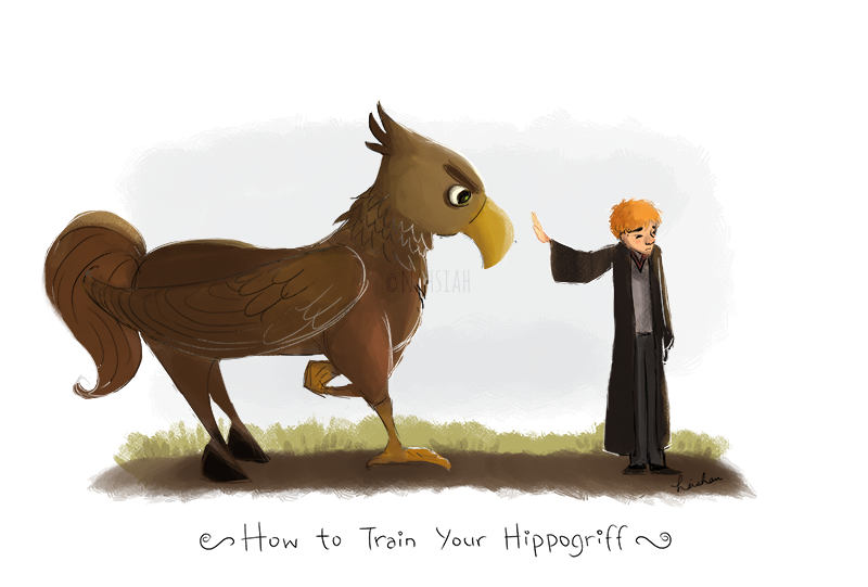 How to Train your Hippogriff