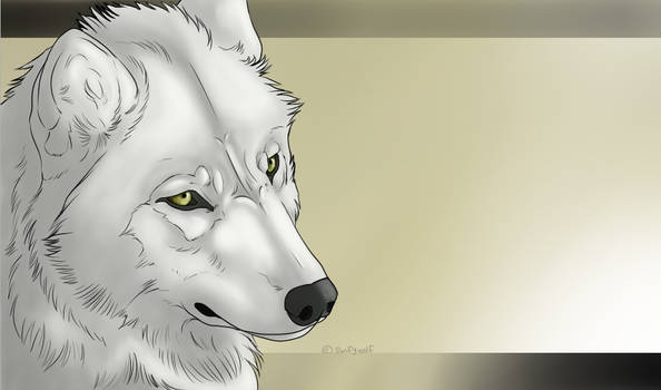 Wolf's Rain ~ Kiba