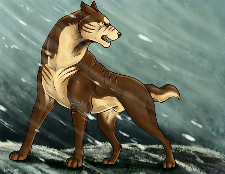 GNG - Riki by swiftywolf