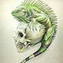 Iguana and Skull Tattoo