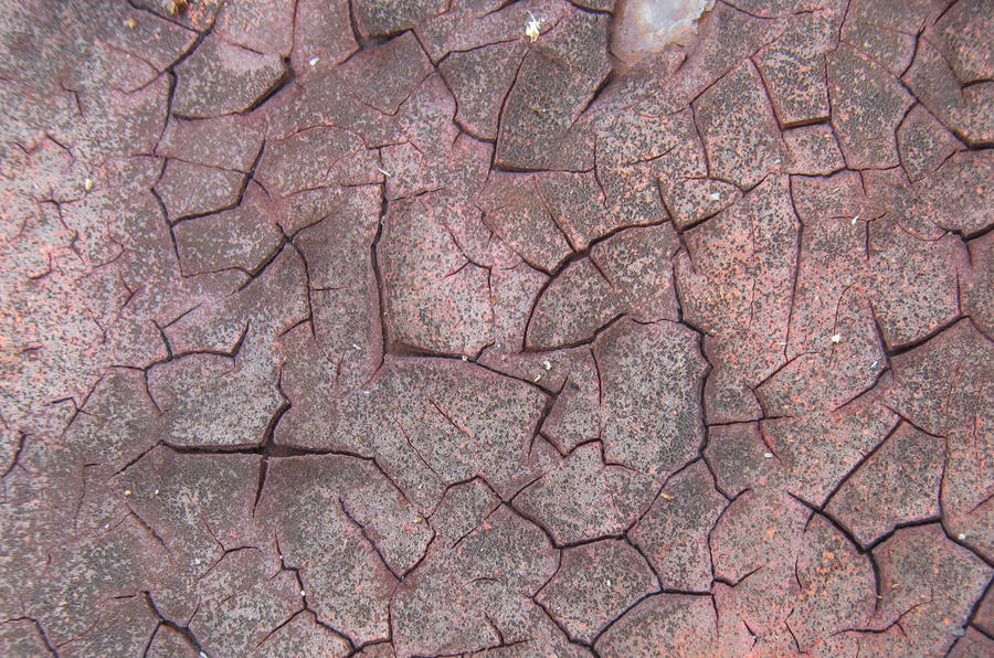 Cracked Rust Dry Mud Texture