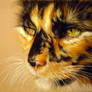 Tortoiseshell Cat – Hyperrealistic Pastel Portrait | American Art Awards 1st Place Winner
