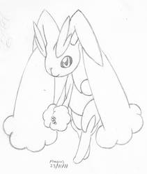 random Lopunny