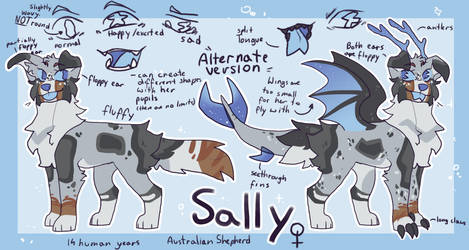 Sally/Mintle | June 2019 Reference sheet