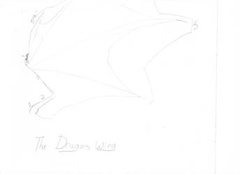 How to draw the dragons wing