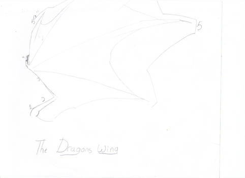 How to draw the dragons wing