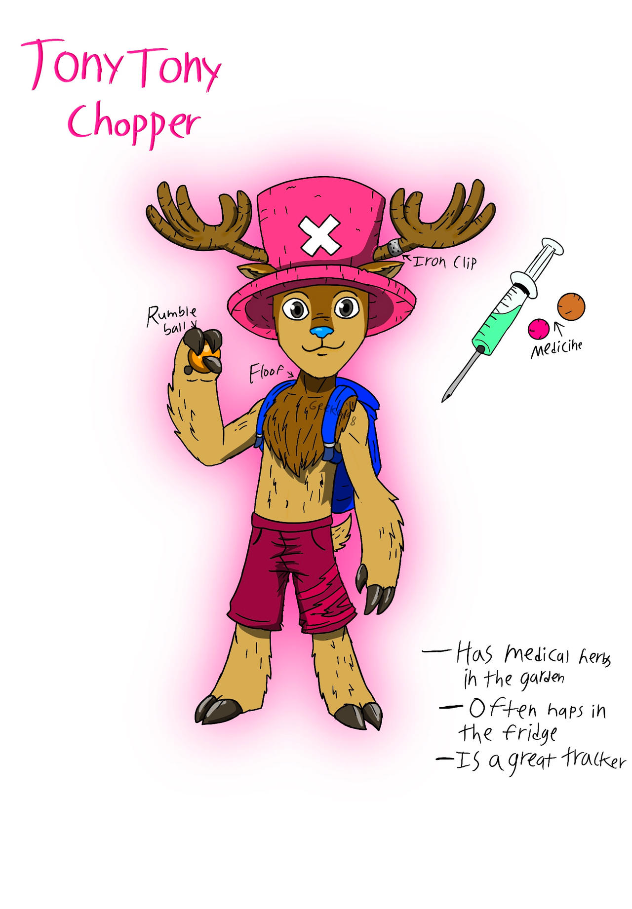 Tony Tony Chopper Humain All Of Chopper's Forms In The One Piece Anime
