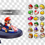 Mario Kart 9 Roster (Fanmade)