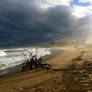 Storm on the Horizon