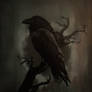 The Raven