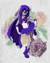 Sailor Raven