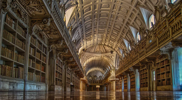 the library - portugal, mafra