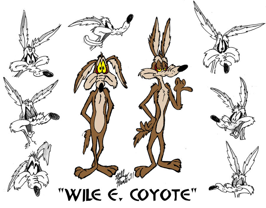 Wile E. Coyote 'Model Sheet'