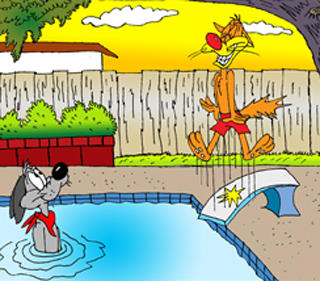 Bill and Buster Pool