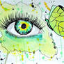 Green Eye Butterfly