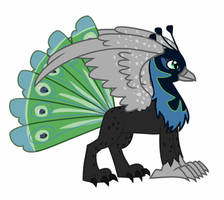 Mayoora The Peahen Griffon