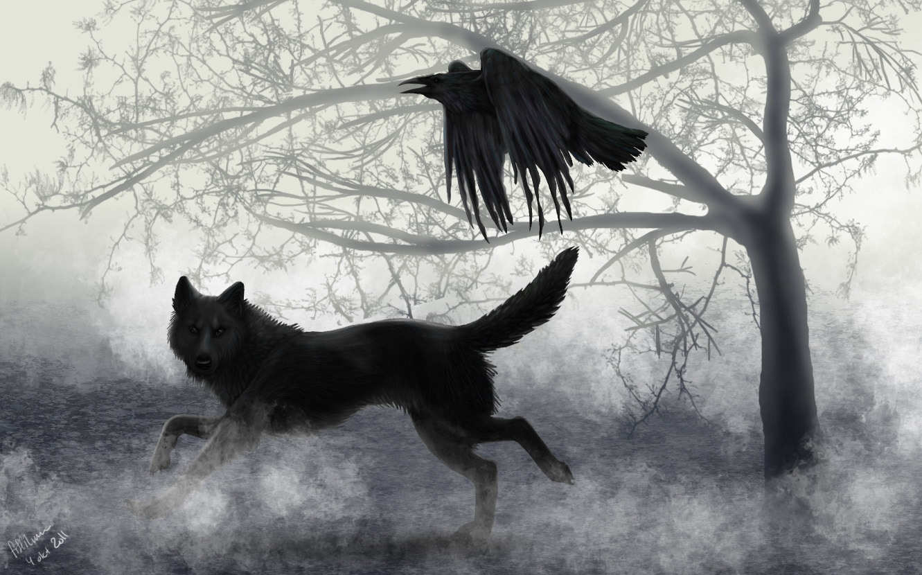 Волки да вороны. Черный ворон и волк. Черный волк. Волки и вороны. Готический волк.