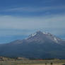 Shasta is not just a soda.