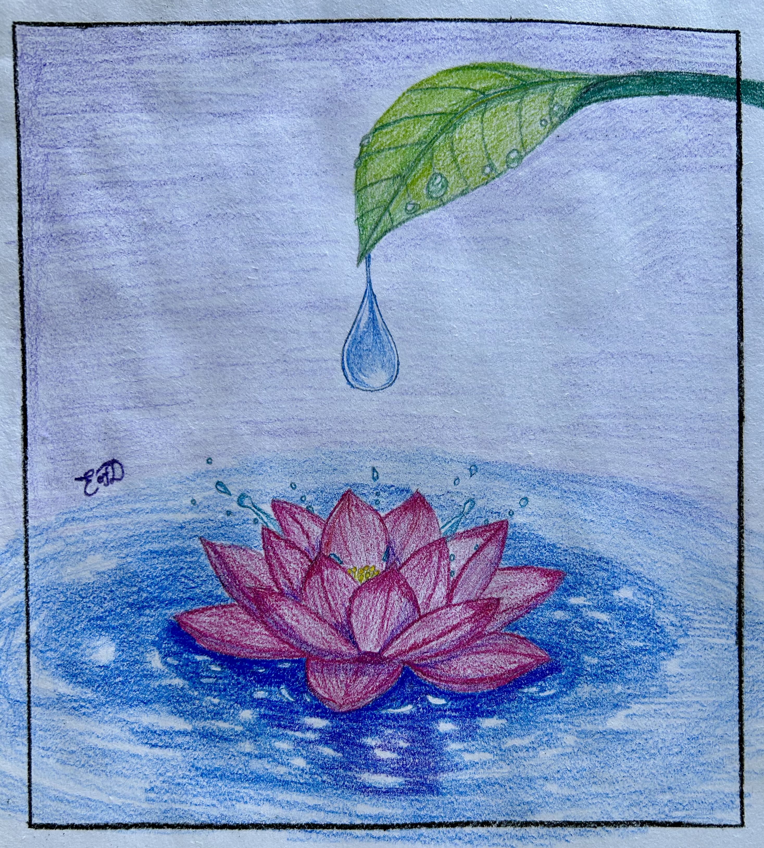 Bloom From a Drop