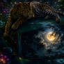 The Moon Beneath the Jaguar