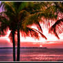 Key West sunset
