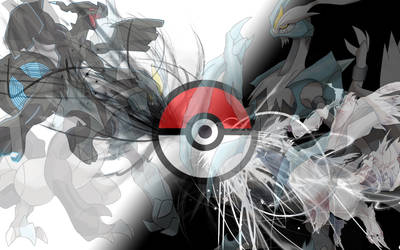 pokemon black wallpaper