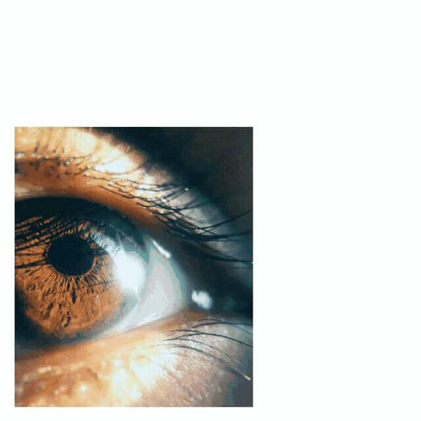 eye to eye gif by istanbuldabirkedi on DeviantArt