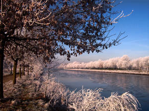 First days of winter...