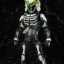 What-If - SHF Kamen Rider Fifteen