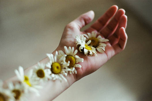 Give a hand to flower