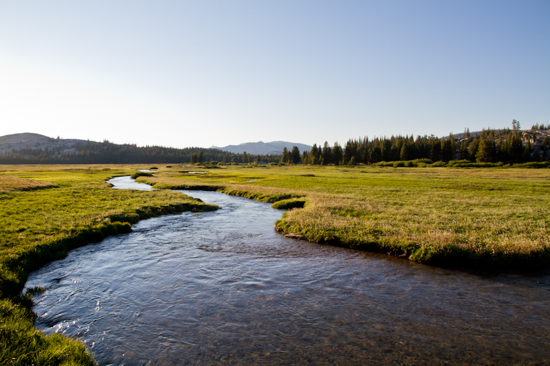 The Meadows